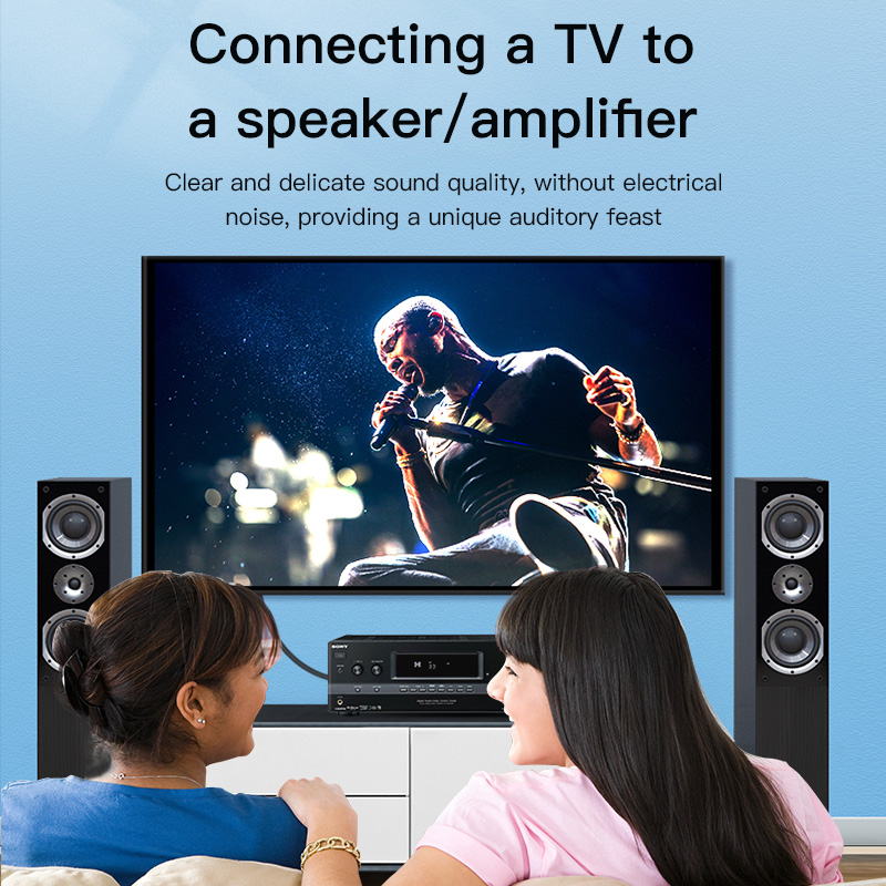 CHOSEAL RCA Cable Digital Coax - Home Cinema Subwoofer review and price